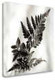 "Florison - 41" By Alan Blaustein, Giclee Print on Gallery Wrap Canvas