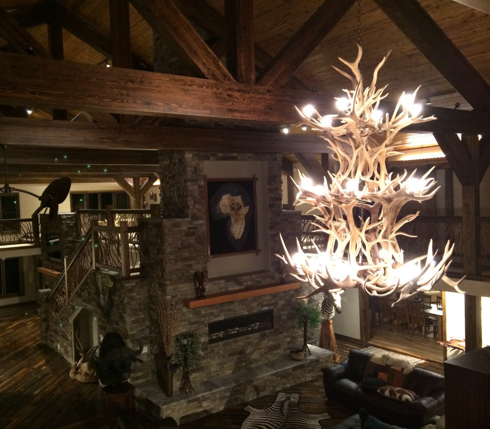 Elk, Whitetail, Mule Deer Antler Chandelier Light, Extra Large, Parchment Shades