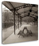 "Banc De Jardin - 48" By Alan Blaustein, Giclee Print on Gallery Wrap Canvas