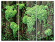 "Global Development" Digital Metal Wall Art, 3 Panels, 36"x28"