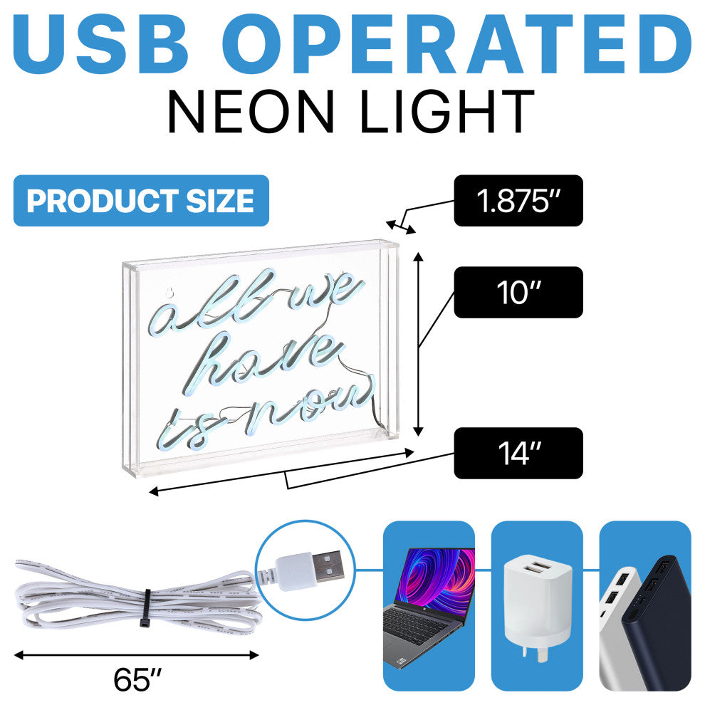 All We Have Is Now 14" X 10" Acrylic Box USB Operated LED Neon Light, White