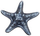 Starfish Knob, Oil Rub Bronze