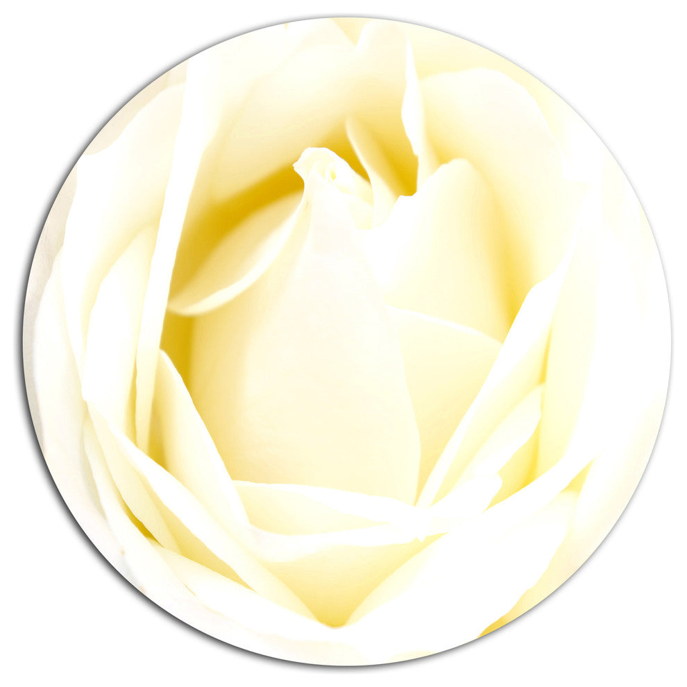 White Rose With Close-Up Petals, Floral Round Wall Art, 36"