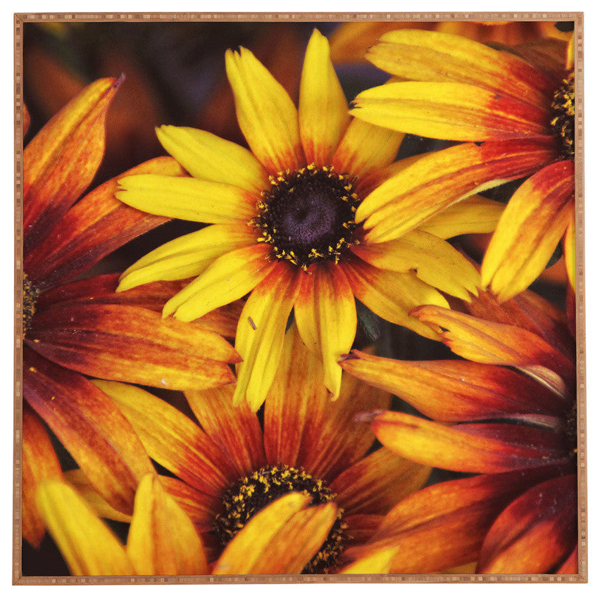 Deny Designs Shannon Clark Sunshine Petals Framed Wall Art