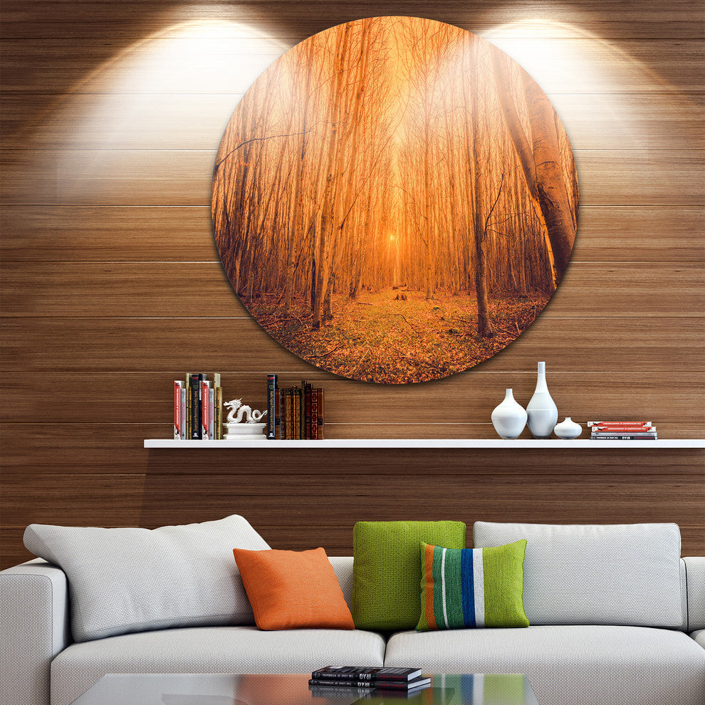 Sunrise In A Forest With Tall Trees, Landscape Disc Metal Artwork, 23"