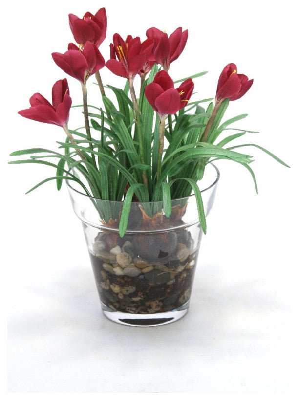 Waterlook® Mauve Crocus in Glass Flower Pot