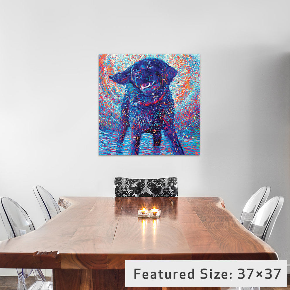 Canines & Color by Iris Scott