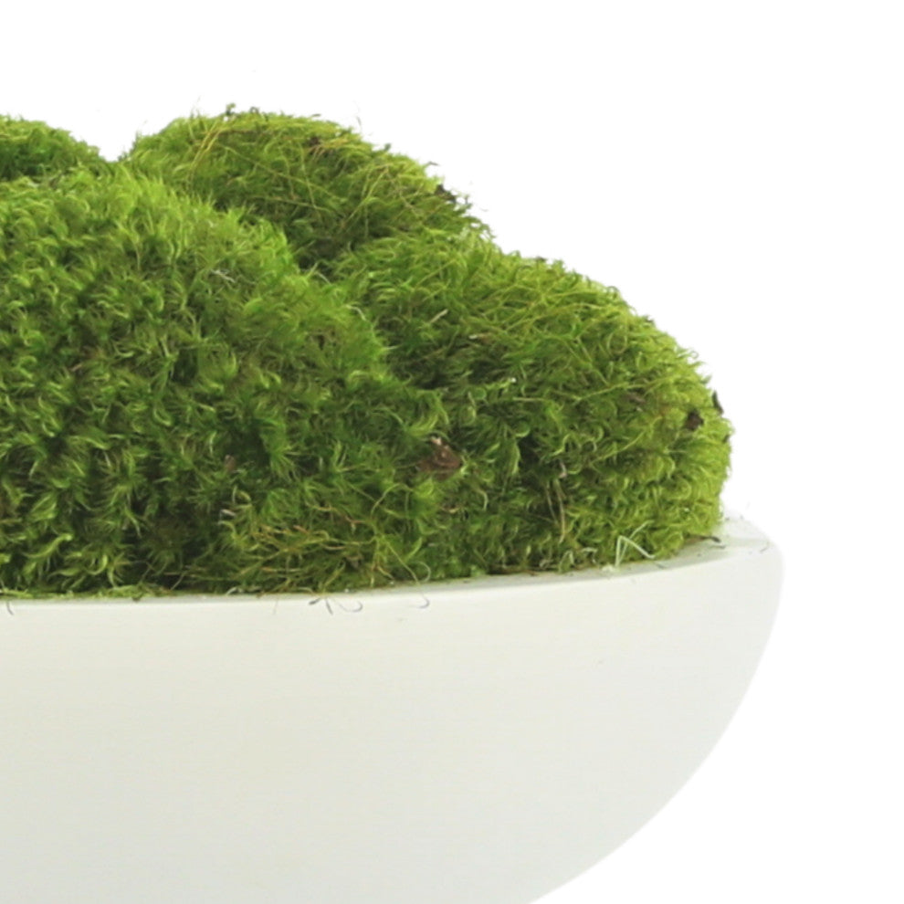 Natural Moss In White Bowl