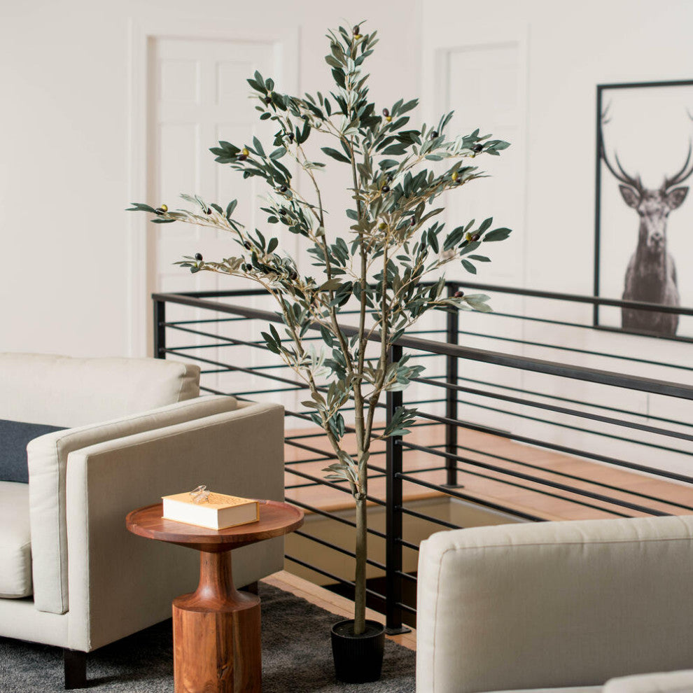 Vickerman Potted Olive Tree, 6'