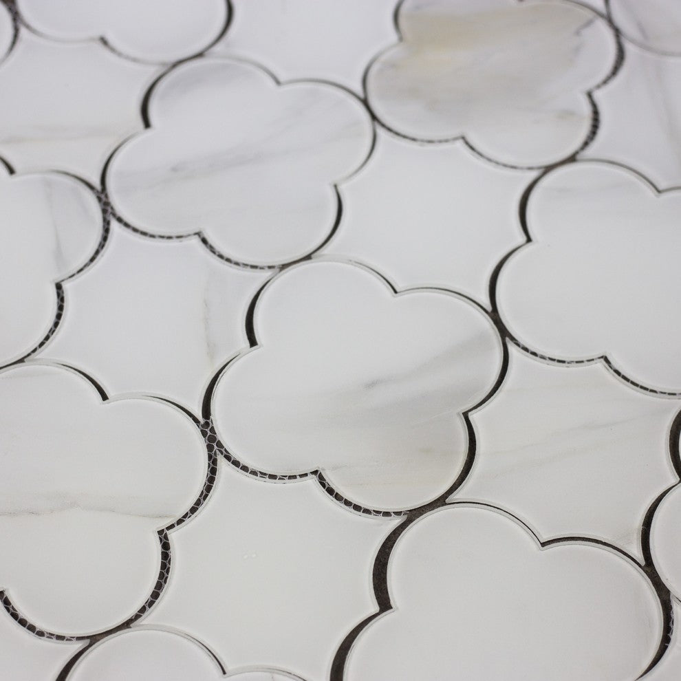 Nature 6 in x 6 in Glass Big Bang Waterjet Mosaic in Calacatta White