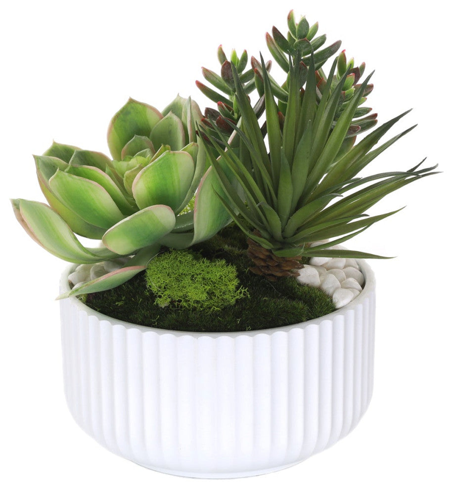 Succulents Arrangement With White Rocks, White Pot