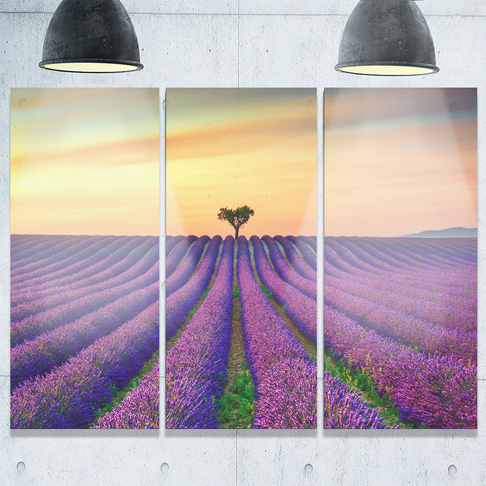 "Lavender Flower Rows in Provence" Metal Wall Art, 3 Panels, 36"x28"