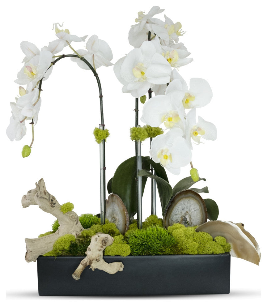 Orchids in Rectangle Ceramic Container