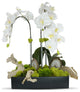 Orchids in Rectangle Ceramic Container