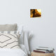 Evening Flare Horse Photograph Unframed Wall Art Print, 8" X 10"
