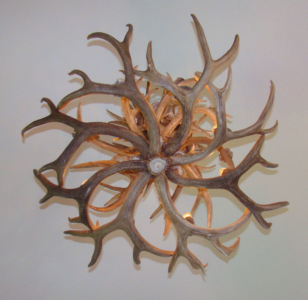 Whitetail, Mule Deer Antler Chandelier Light, Extra Large, Rawhide Shades