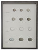 Bird Eggs Plate XIV, Pewter Shadowbox