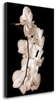 "Orchid Dance I" By John Rehner, Giclee Print on Gallery Wrap Canvas