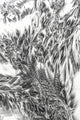 Sandprints Designer Series No.5, 8"x12"