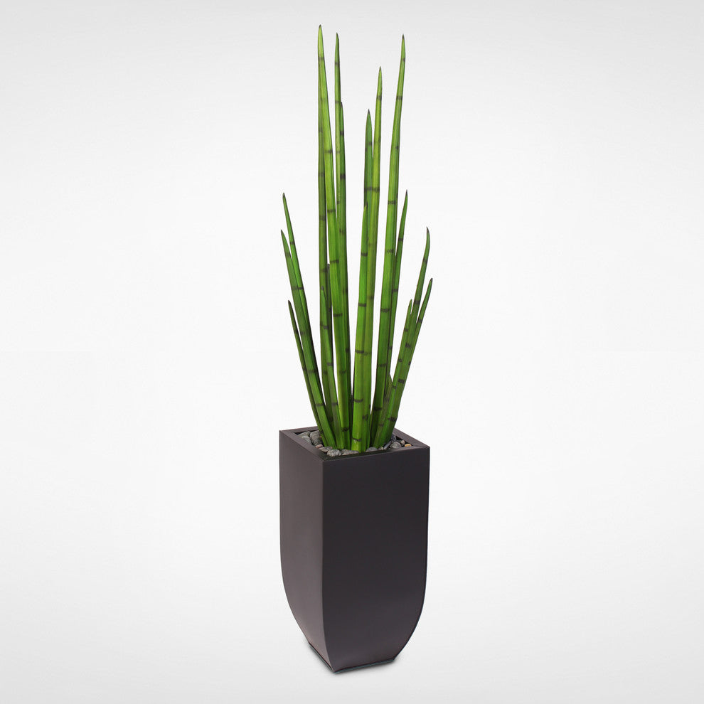 63" Tall Snake Grass Display With Pebbles in Metal Planter