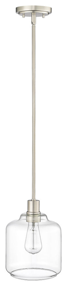 Asheville 1-Light 8" Pendant Light, Brushed Nickel