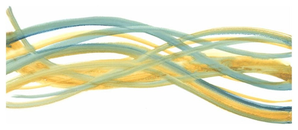 "Urban Streamers II" Fine Art Piece