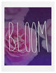 Deny Designs Leah Flores Bloom Art Print