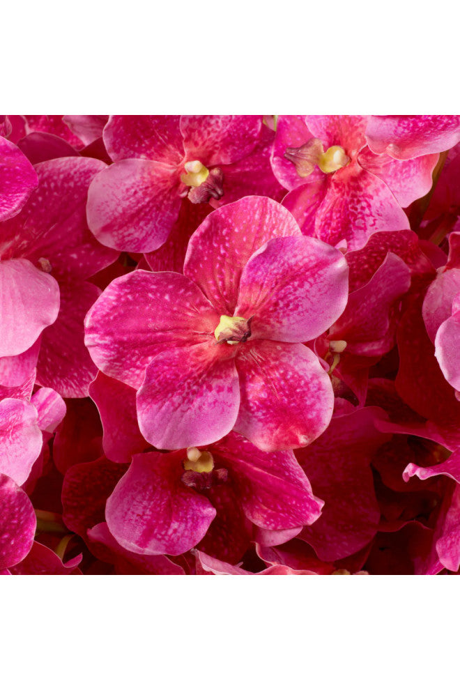 Artificial Orchids Bouquet, 24-Pieces, Eichholtz Vanda, Pink
