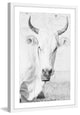 Marmont Hill, "Cow Face" Framed Painting Print, 12x18