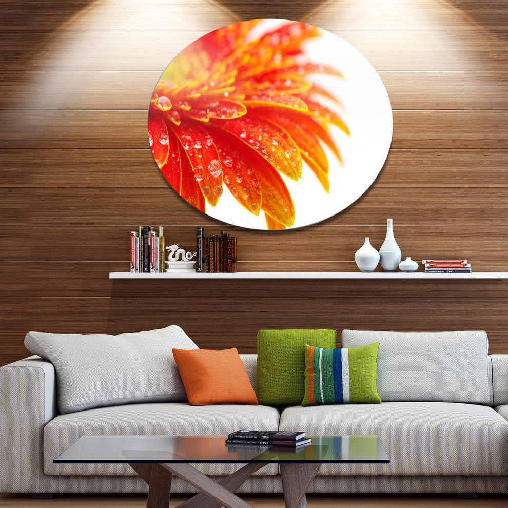 Orange Gerbera With Raindrops, Floral Disc Metal Wall Art, 36"