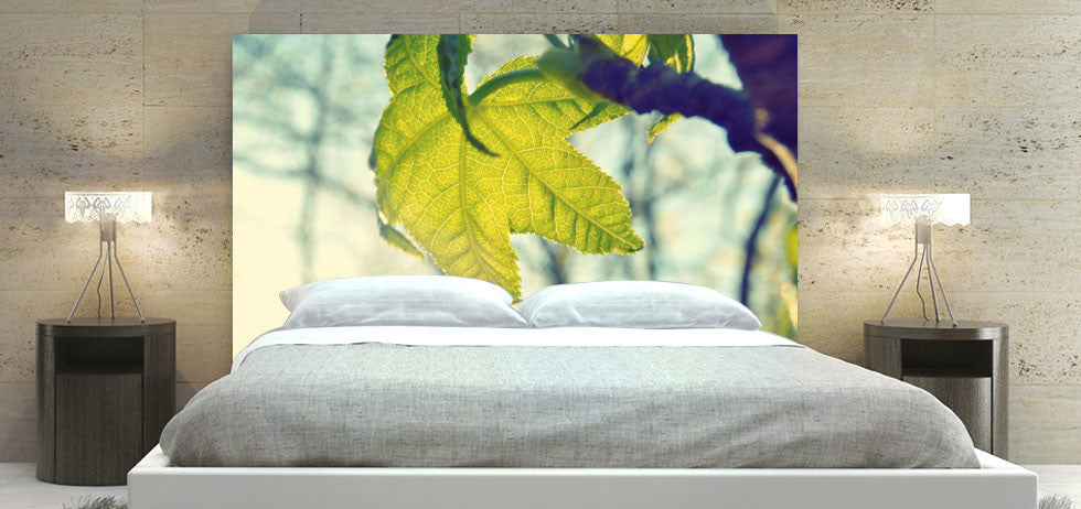 "Tree Star" Headboard