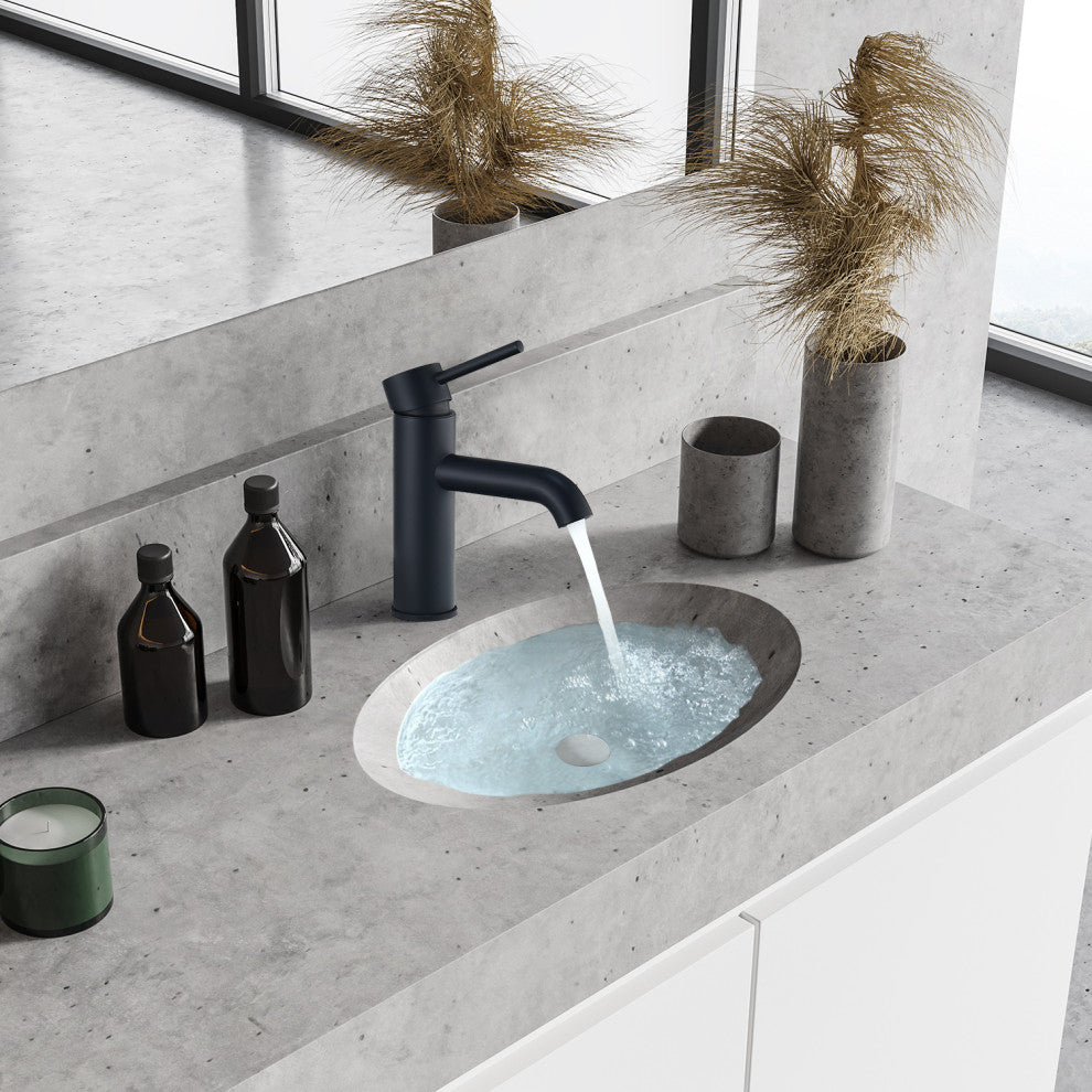 Tubize Single Hole Single-Handle Bathroom Faucet, Matte Black