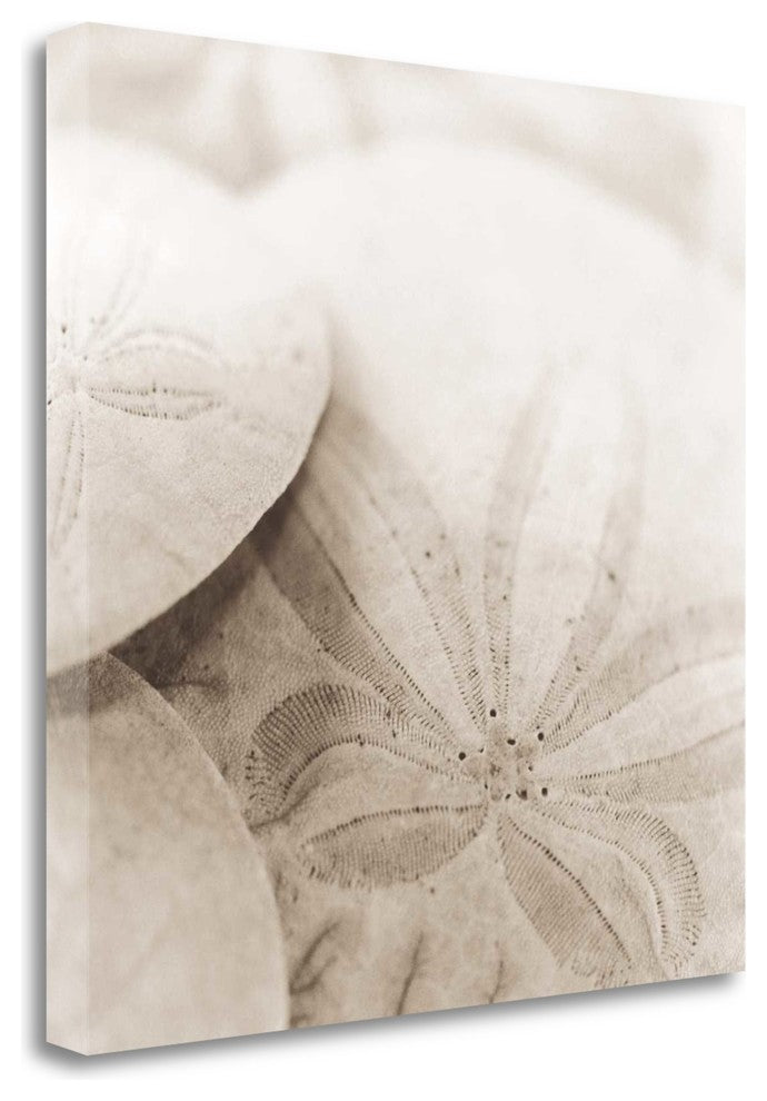 "Atlantis 2" By Alan Blaustein,Ready to Hang Giclee Print on Gallery Wrap Canvas