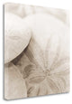 "Atlantis 2" By Alan Blaustein,Ready to Hang Giclee Print on Gallery Wrap Canvas