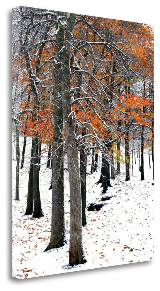 "Snowfall II" By Burney Lieberman , Giclee Print on Gallery Wrap Canvas
