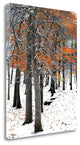 "Snowfall II" By Burney Lieberman , Giclee Print on Gallery Wrap Canvas
