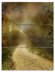 "Country Road Through Fall Scenery" Photo Metal Wall Art, 3 Panels, 28"x36"