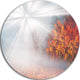 Misty Sun In Red Autumn Forest, Landscape Photo Round Wall Art, 38"
