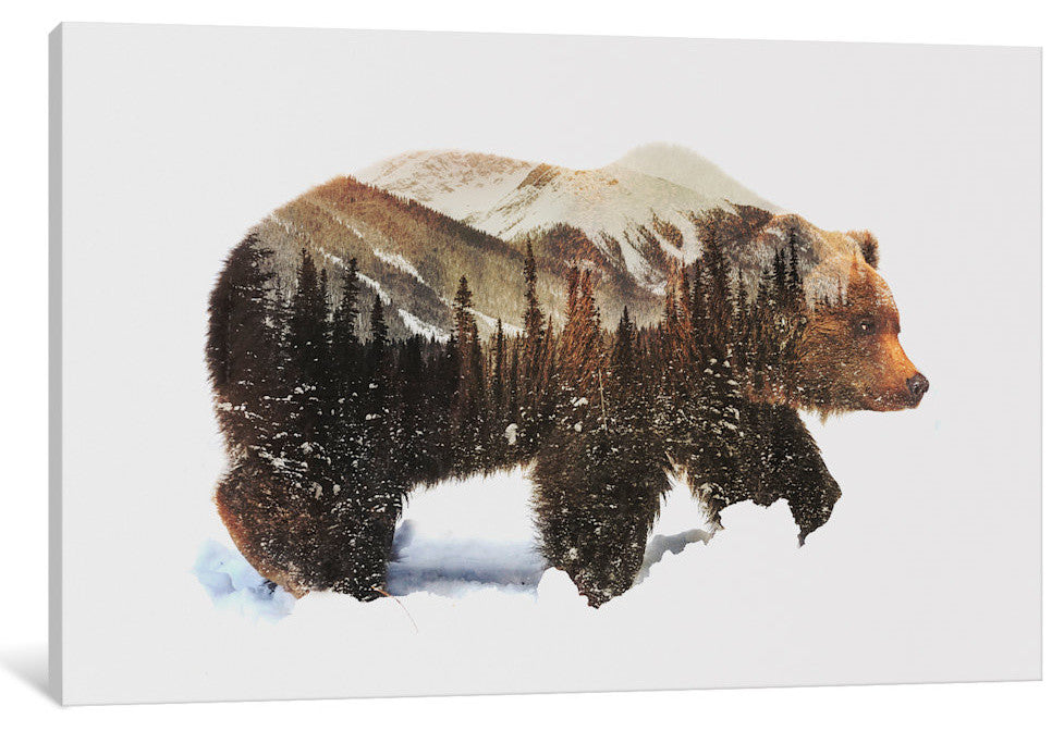 Arctic Grizzly Bear by Andreas Lie