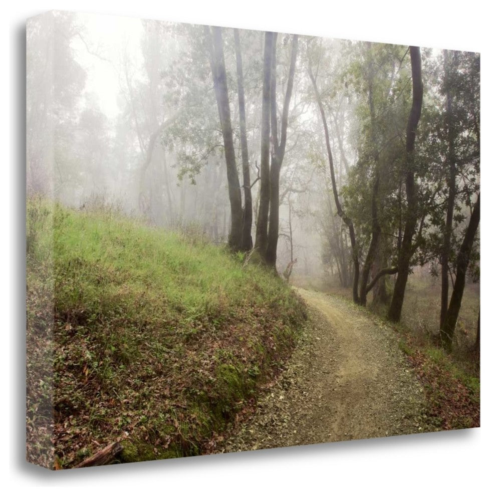 "Oak Tree - 18" By Alan Blaustein, Giclee Print on Gallery Wrap Canvas