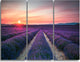 "Endless Rows of Lavender Flowers" Metal Wall Art, 3 Panels, 36"x28"