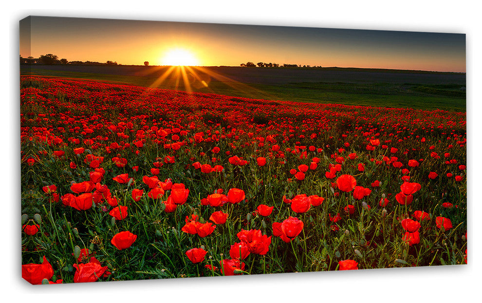 Sunset over Garden with Red Poppies, Floral Canvas Art Print, 32"x16"