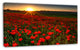 Sunset over Garden with Red Poppies, Floral Canvas Art Print, 32"x16"