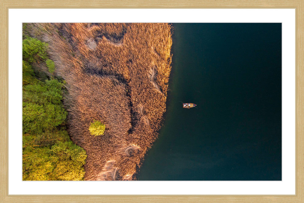 "That View" Framed Painting Print by Karolis Janulis