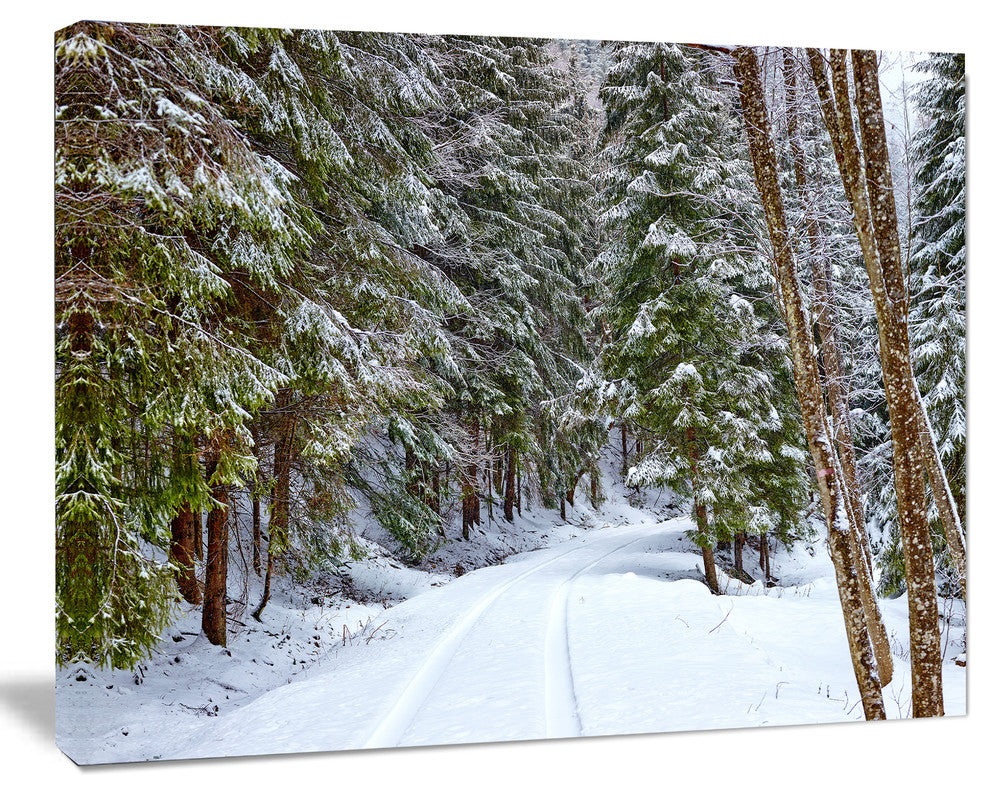 Snowy Road in the Forest, Landscape Canvas Art Print, 60x40