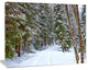 Snowy Road in the Forest, Landscape Canvas Art Print, 60x40