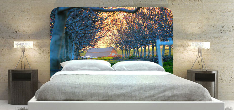 "Tree Architecture" Headboard