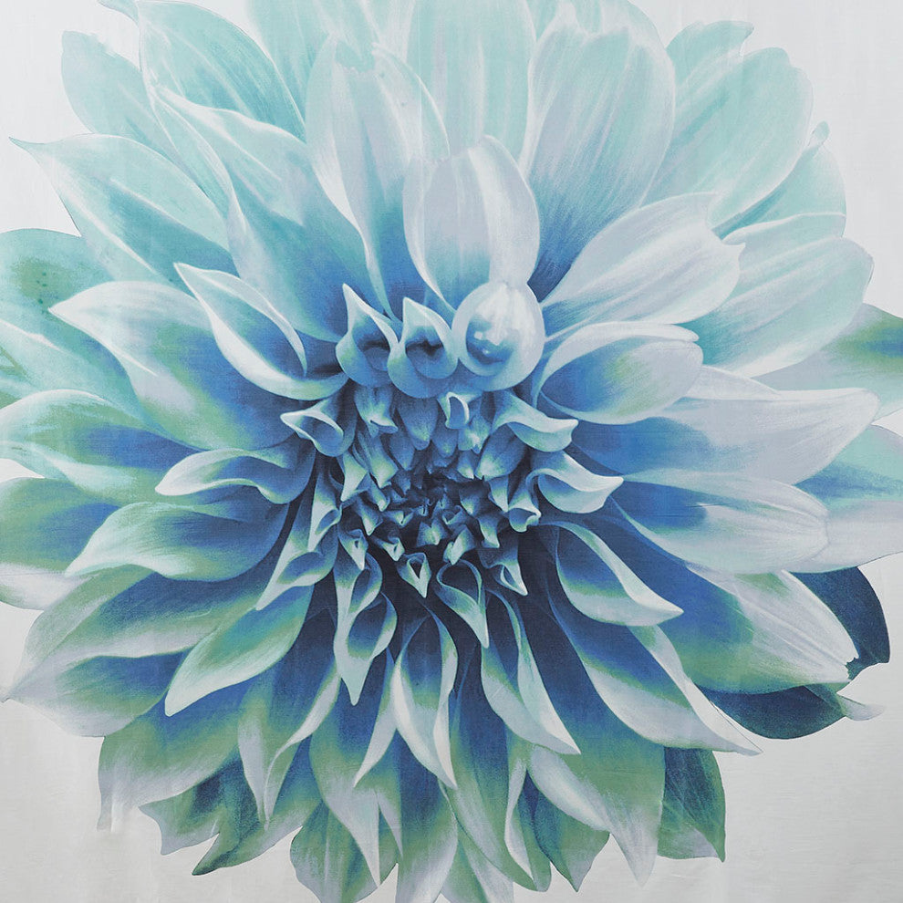 Madison Park Norah Printed Floral Cotton Shower Curtain, Aqua