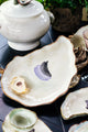 Seaside Oyster Plate, Large, Set of 2