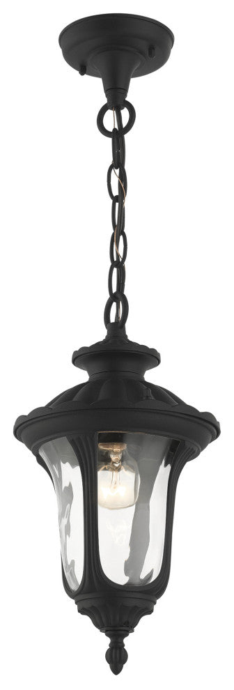 Textured Black Traditional, Victorian, Sculptural, Outdoor Pendant Lantern